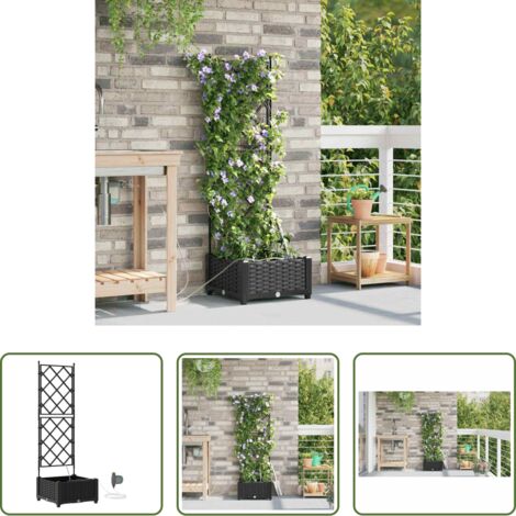 Fioriera da giardino -  Vaso da giardino Nero 40 x 40 x 126 cm Acciaio