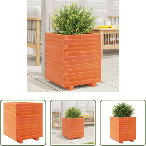Fioriera da patio -  Fioriera Giardino Marrone Cera 40x40x49,5cm Legno Massello Pino
