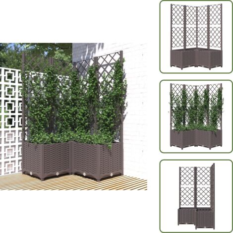 Fioriera esterna - vidaXL Fioriera da Giardino con Graticcio Marrone 80x80x136 cm in PP - Vaso da giardino