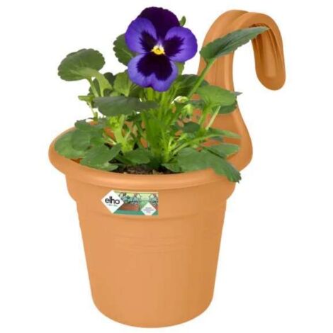 FIORIERA GREEN BASICS EASY HANGER SMALL MILD TERRA ELHO