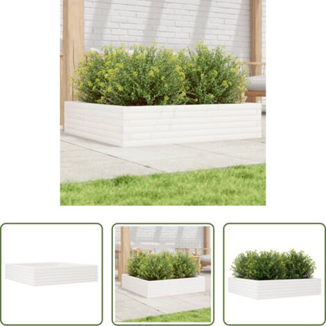Fioriera in legno -  Fioriera da Giardino Bianca 100x100x23 cm Legno Massello Pino