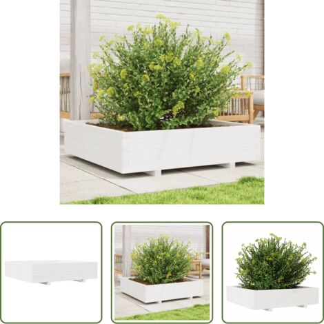 Fioriera in legno -  Fioriera da Giardino Bianca 100x100x26,5cm Legno Massello Pino