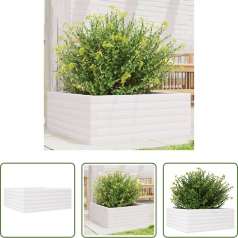Fioriera in legno -  Fioriera da Giardino Bianca 60x60x23 cm Legno Massello di Pino
