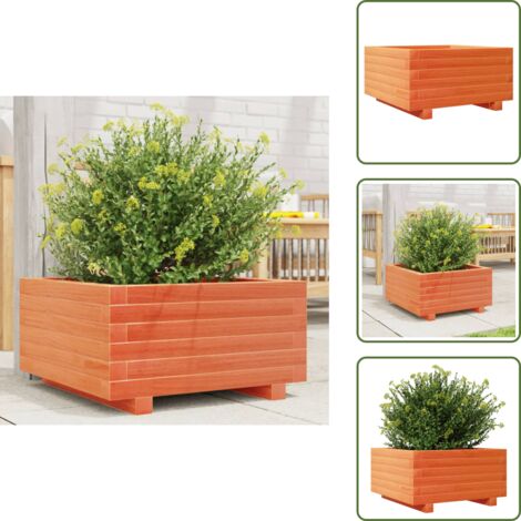 Fioriera in pino - vidaXL Fioriera Giardino Marrone Cera 50x50x26,5cm Legno Massello Pino - Fioriera per piante