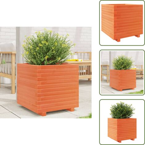 Fioriera in pino - vidaXL Fioriera Giardino Marrone Cera 50x50x49,5cm Legno Massello Pino - Fioriera decorativa