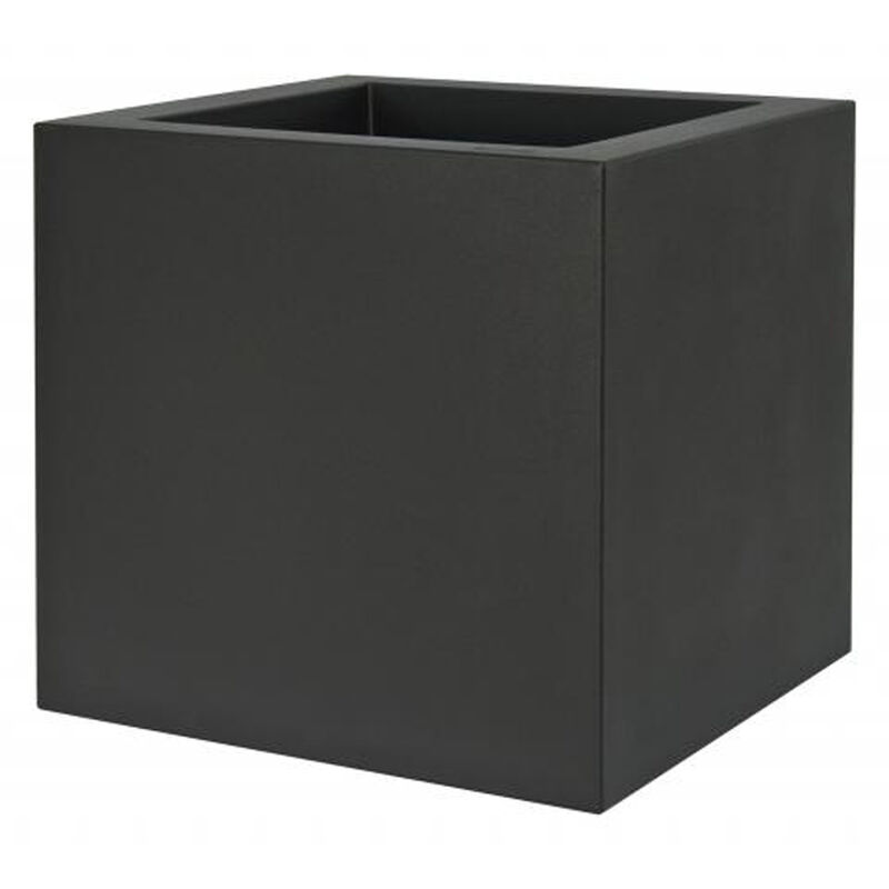 Una immagine