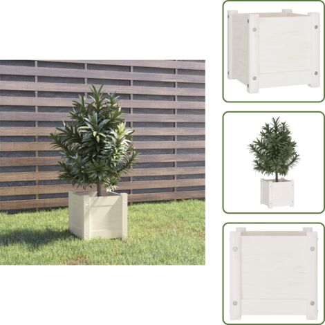 Fioriera per piante - vidaXL Fioriera da Giardino Bianca 31x31x31 cm Legno Massello di Pino - Fioriera per erbe