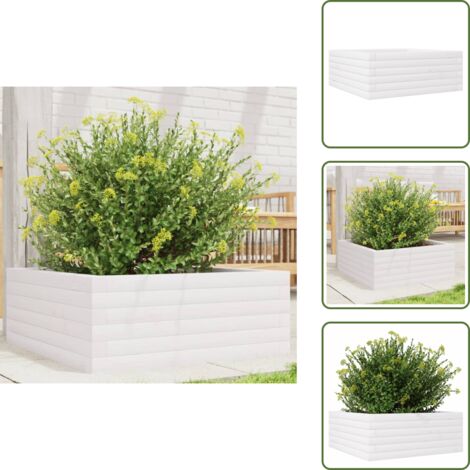 Fioriera per piante - vidaXL Fioriera da Giardino Bianca 60x60x23 cm Legno Massello di Pino - Fioriera per fiori