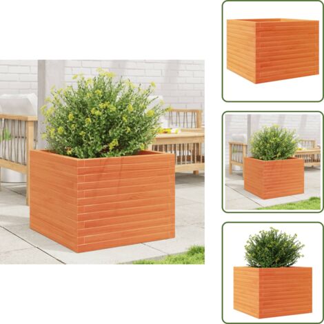 Fioriera per piante - vidaXL Fioriera Giardino Marrone Cera 60x60x46 cm Legno Massello Pino - Fioriera per fiori