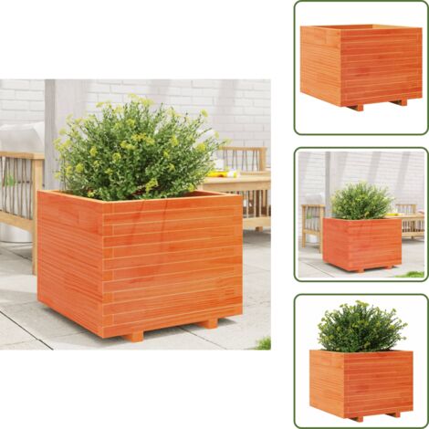 Fioriera per piante - vidaXL Fioriera Giardino Marrone Cera 60x60x49,5cm Legno Massello Pino - Fioriera per fiori