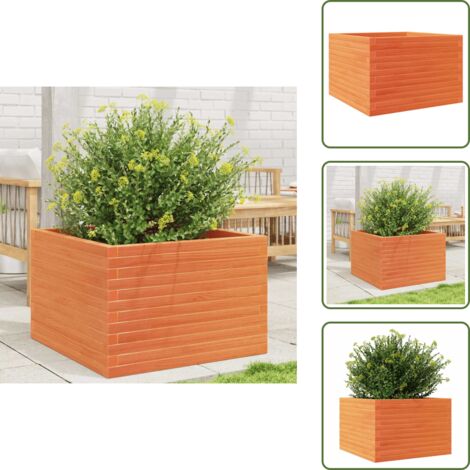 Fioriera per piante - vidaXL Fioriera Giardino Marrone Cera 70x70x46 cm Legno Massello Pino - Fioriera per fiori