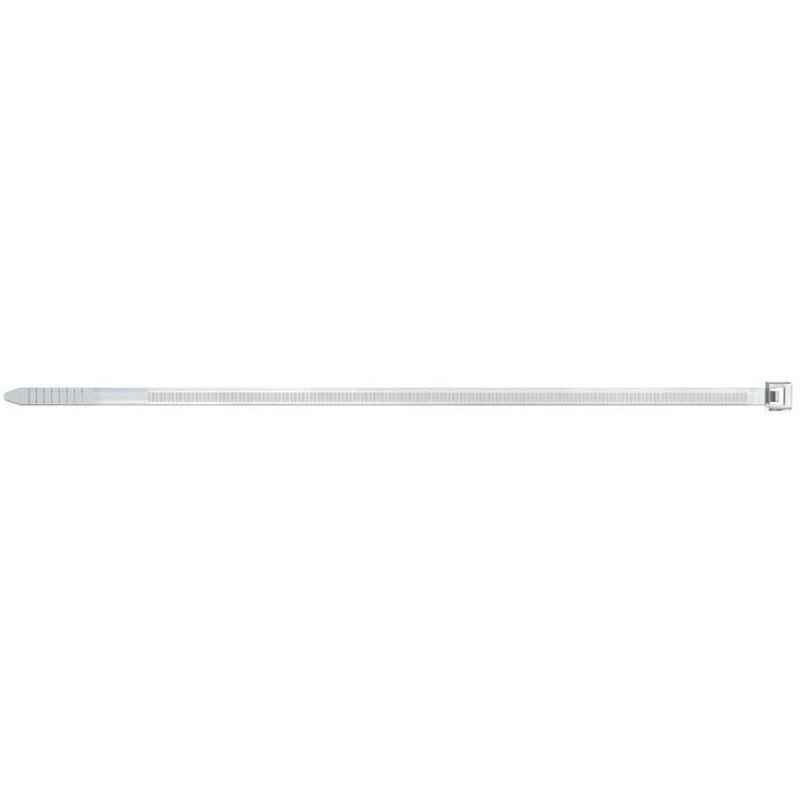 

Fischer - 087478 Brida nylon transparente BN 2,5x100 natural (Envase 100 uds)