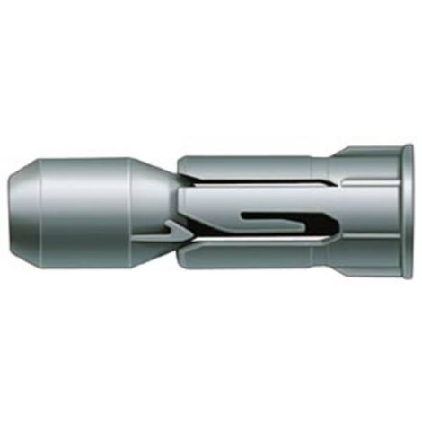 Fischer 15935 Cheville pour plaques PD 10 (100)