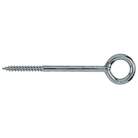 Fischer 20x vis à œillet GS 8 x 50 - 502620