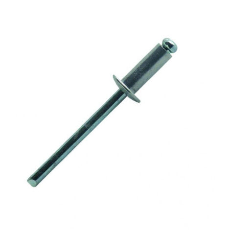 FISCHER DAREX - Rivets aveugle 4x10 x96 pièces tête plate