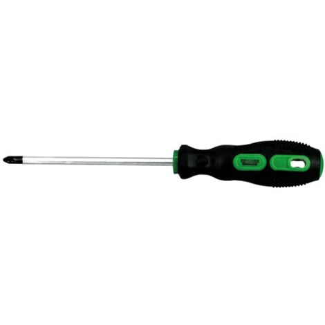 FISCHER DAREX - Tournevis bimatière / chrome pozidriv pz2 6 x 125 mm