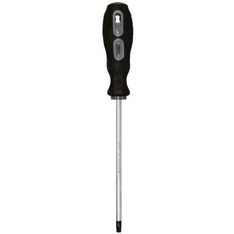 FISCHER DAREX - Tournevis lame chrome molybdene s2 tt30 xl150mm x6mm