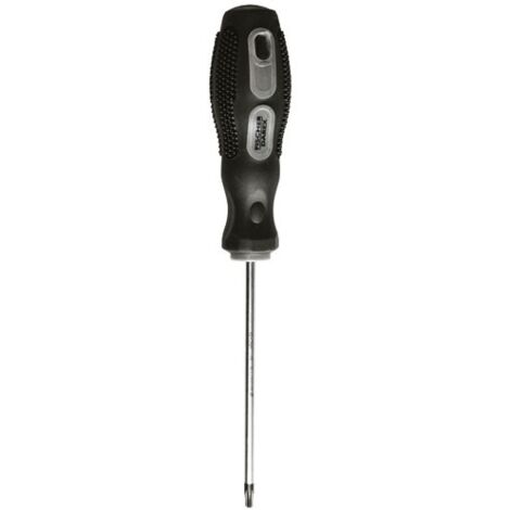 FISCHER DAREX - Tournevis torx tt10 4.0 x 100 mm