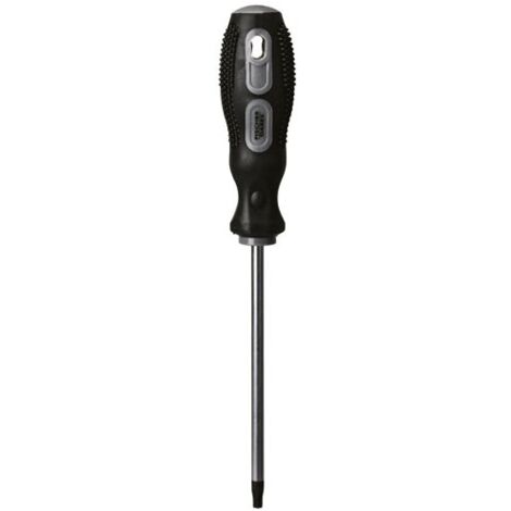 FISCHER DAREX - TOURNEVIS TORX TT10 6.0 X 125 MM