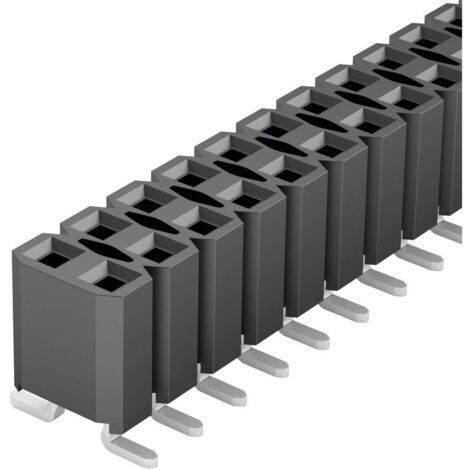 Fischer Elektronik Connettore femmina (standard) Numero di righe: 2 Poli per fila: 20 BL LP 6 SMD/ 40/Z 1 pz.