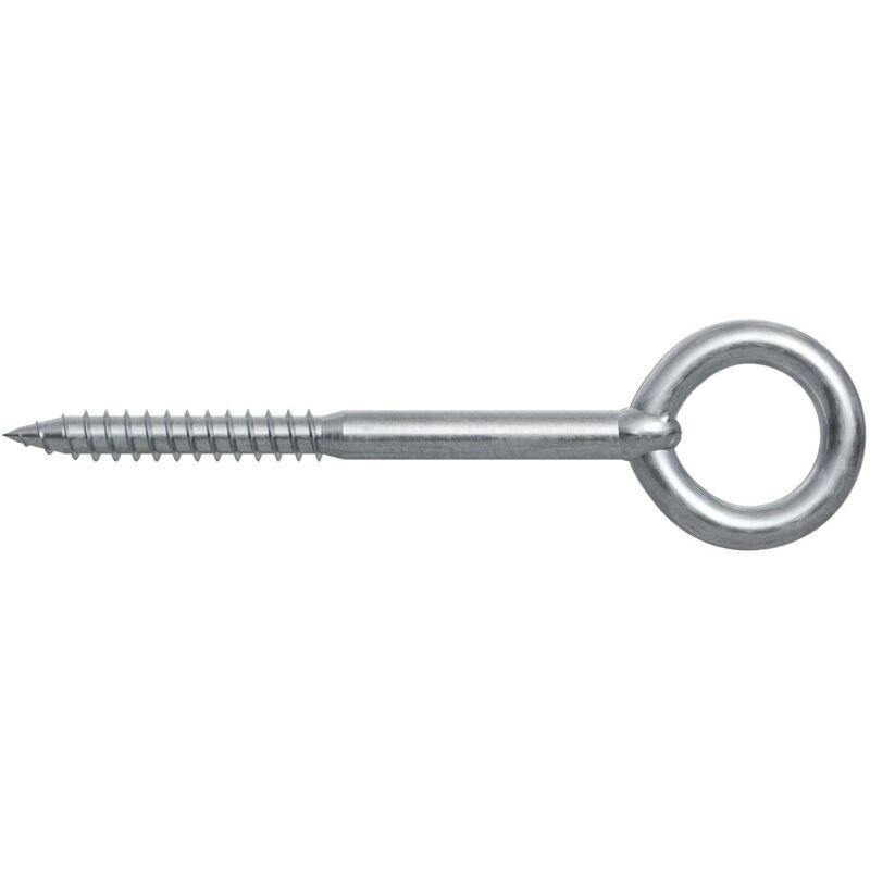 Fischer - Vis à œillet gs 8 x 100 1 set