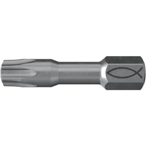 Fischer Maxx Bit FMB II TX20 (5)