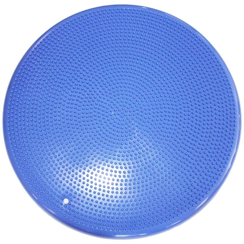 

Disco de equilibrio para mascotas azul 36 cm - Azul - Fitpaws