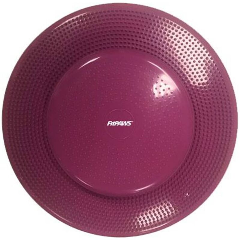 

Disco de equilibrio para mascotas color frutos rojos 56 cm - Rosa - Fitpaws