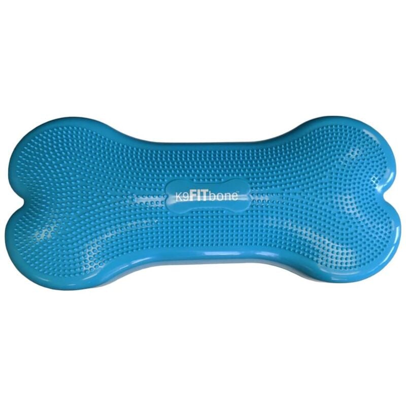 

Fitpaws Plataforma de Equilibrio Mascotas PVC Verde Agua - Azul