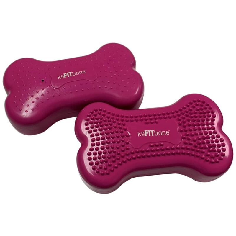 

Plataforma equilibrio perros Mini K9FITbone 2 uds 29x16,5x6cm - Rosa - Fitpaws