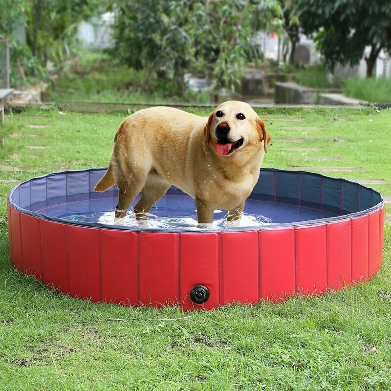 

para perros grande y plegable Piscina para baño Lavabo para perros / gatos Baño al aire libre o interior S rojo (80 * 80 * 20 cm) - Fixkit