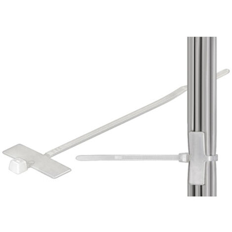 Fixpoint Colliers de serrage nylon transparent 100 mm