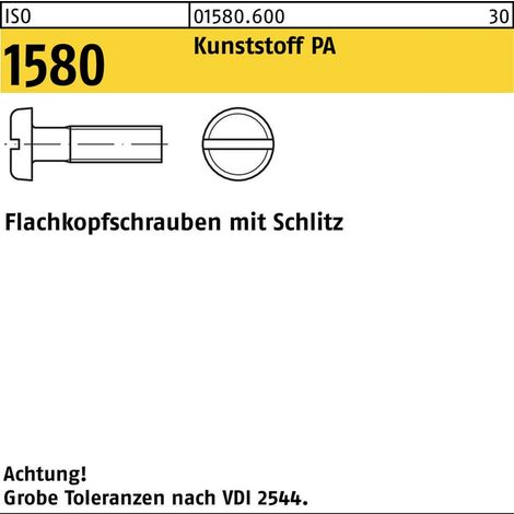 Flachkopfschraube ISO 1580 m.Schlitz M 4 x 20Polyamid 200 Stück