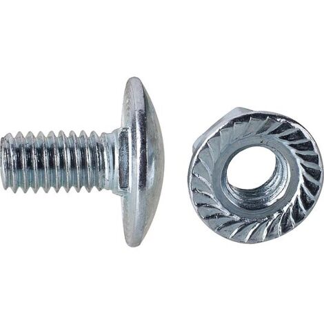 Flachrundschrauben 100 Stück - M6 x 12 mm