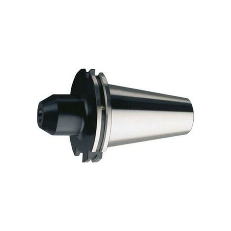 Flächenspannfutter DIN69871ADB SK50 D10mm lang HAIMER