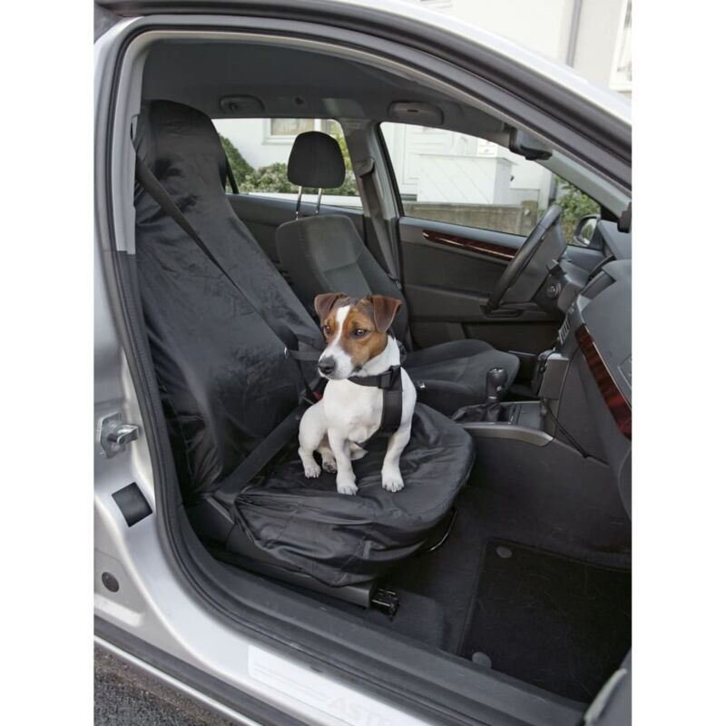 

Funda de asiento delantero de coche 130x70 cm - Negro - Flamingo