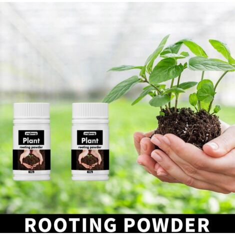 FLAMMKRAFT-2 bouteilles de poudre universelle d'enracinement rapide pour plantes et fleurs – pour boutures et semis Poudre nutritionnelle– 100 g