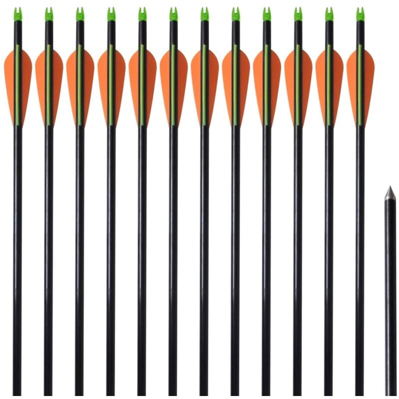 

Flechas de arco 12 uds compuesto estándar de fibra de vidrio - Multicolor - Vidaxl