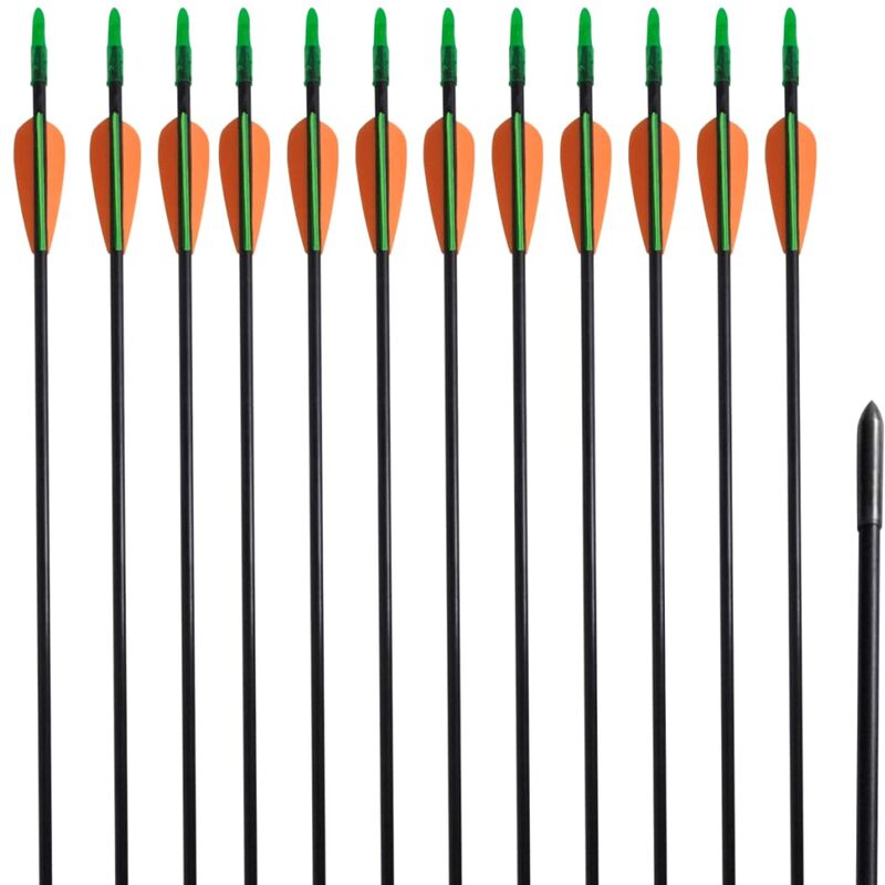 

vidaXL Flechas de arco recurvo estándar de fibra de vidrio 12 unidades - Multicolor