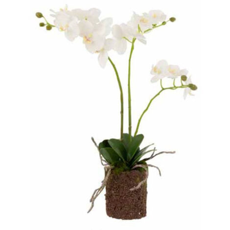 Fleur Artificielle Déco "Orchidée en Terre" 54cm Blanc