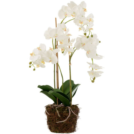 Fleur Artificielle Déco "Orchidée en Terre" 72cm Blanc