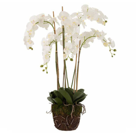 Fleur Artificielle Déco "Orchidée en Terre" 98cm Blanc