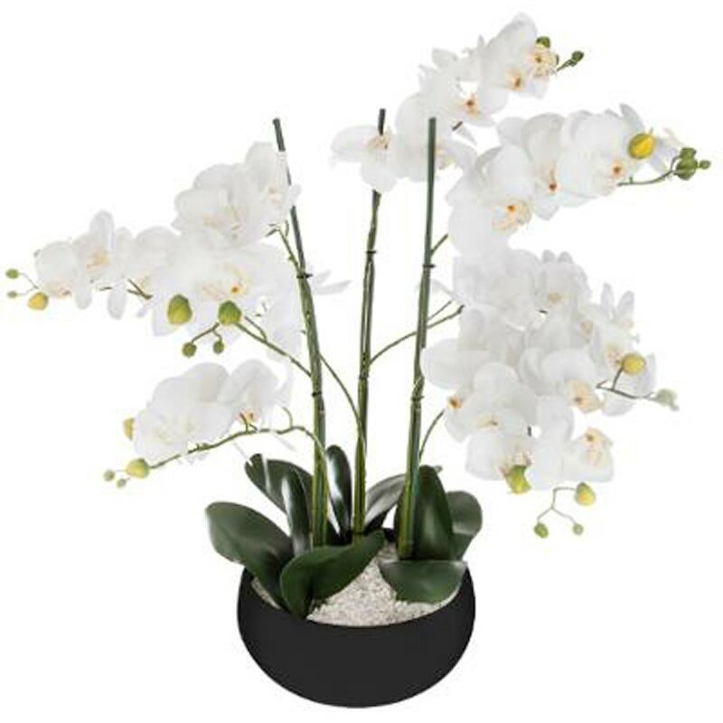 Atmosphera - Fleur Artificielle Pot Ciment Orchidée 65cm Noir