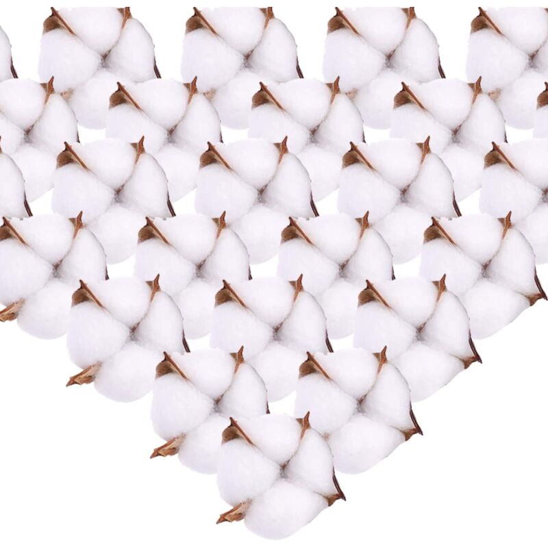 Fleur de Coton Naturelle Tête de Fleurs Séchées Coton Decoration Blanc ave Tige Courte pour Hiver Noël diy Mariage Couronne Artisanat Maison Cadeau