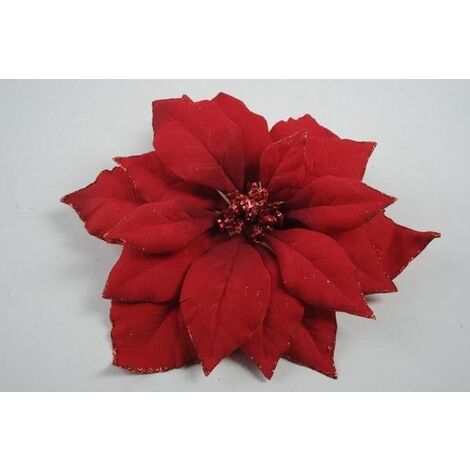 FLEUR DE NOËL BELLA ROUGE