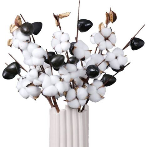 Fleurs Coton Séchées 3pcs, Branche Coton 5 Têtes, Bouquet Naturel, Tige Décorative pour Vase, Mariage