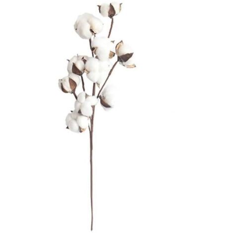 Fleurs de coton séchées naturellement 10 têtes, Branches florales artificielles, Vase de Style rustique, remplissage - White
