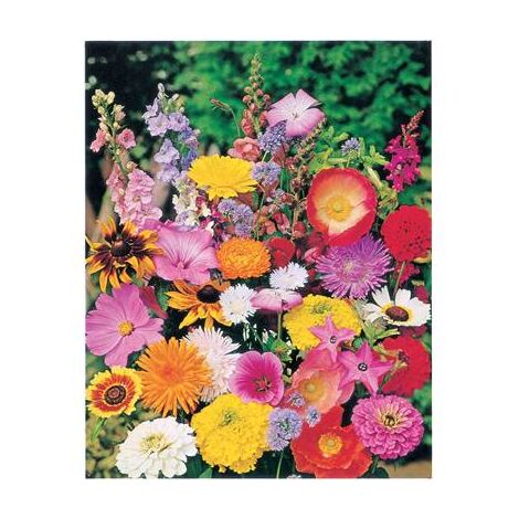 FLEURS D'ETE EN MELANGE - Graines de fleurs - 4 G