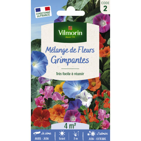 Fleurs Grimpantes - 4 m² - Mélange de fleurs Vilmorin