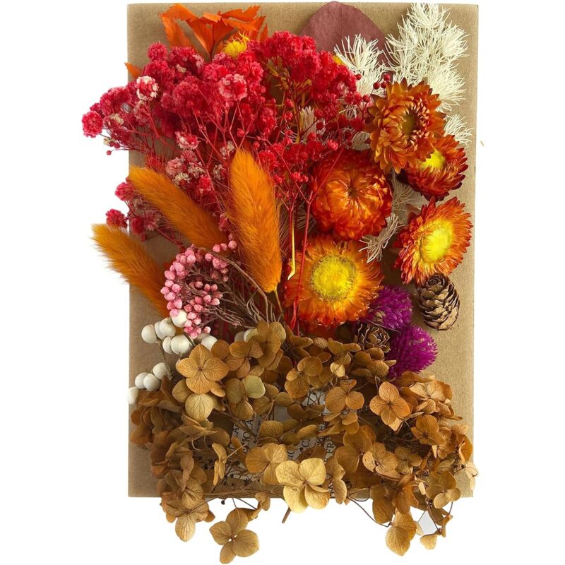Fleurs Séchées,Fleurs Séchées pour L'artisanat,Set de Fleurs Séchées Naturelles pour Le Bricolage en Résine époxy,Décoration de Bougies,Décoration de